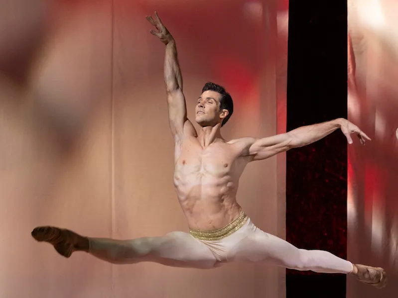 Roberto Bolle and Friends