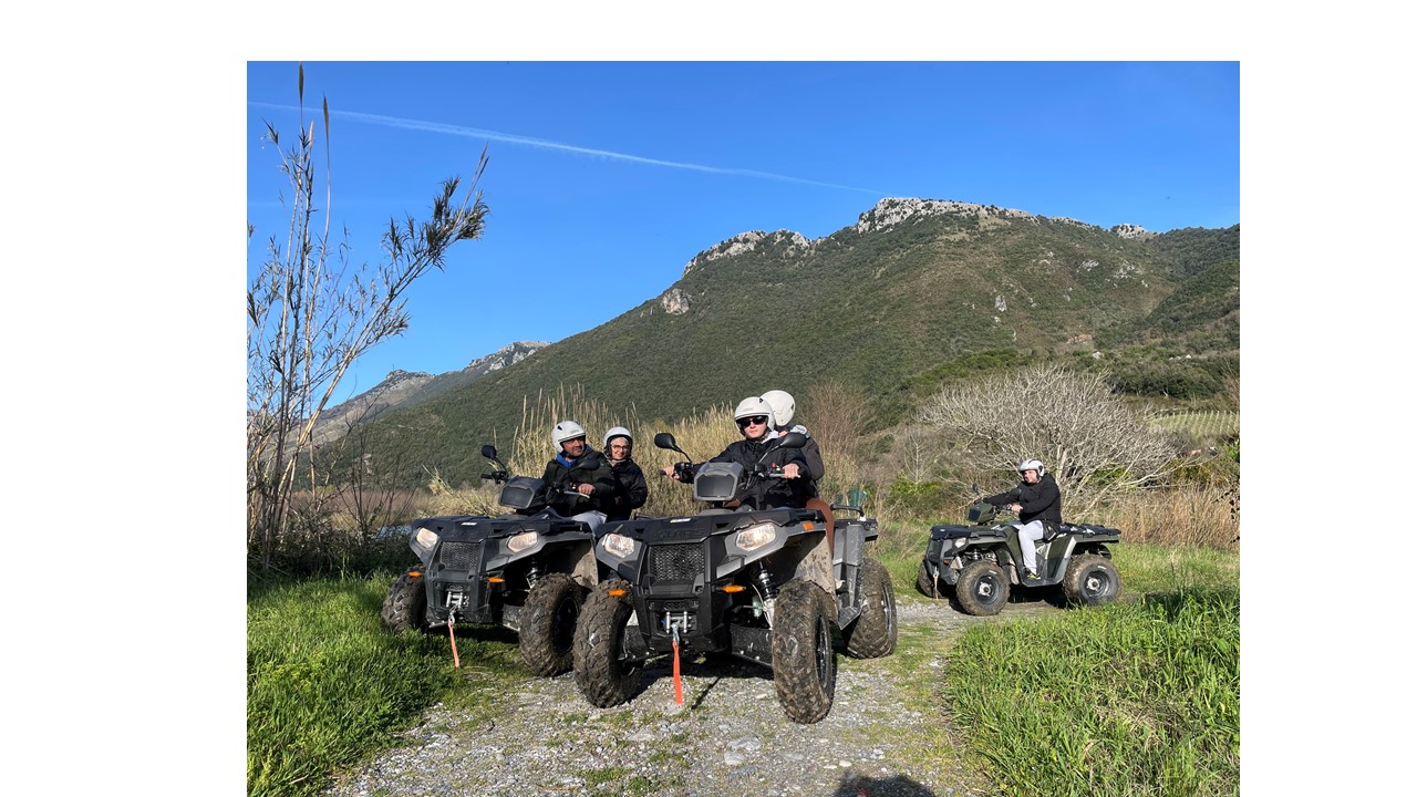 Presentazione standard5.jpg